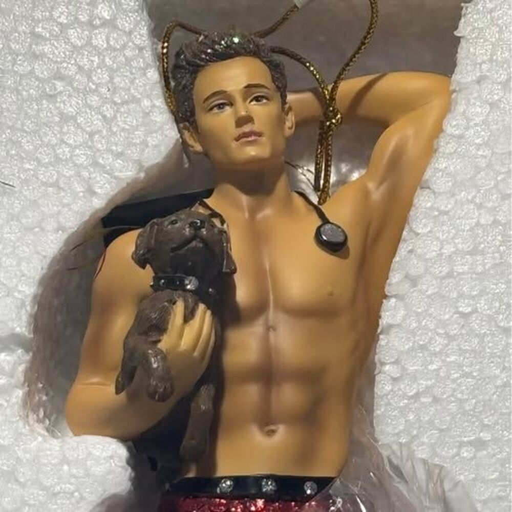 December Diamonds Dr. Pet-A-Vet Merman Christmas Ornament 2017 – Original Box
